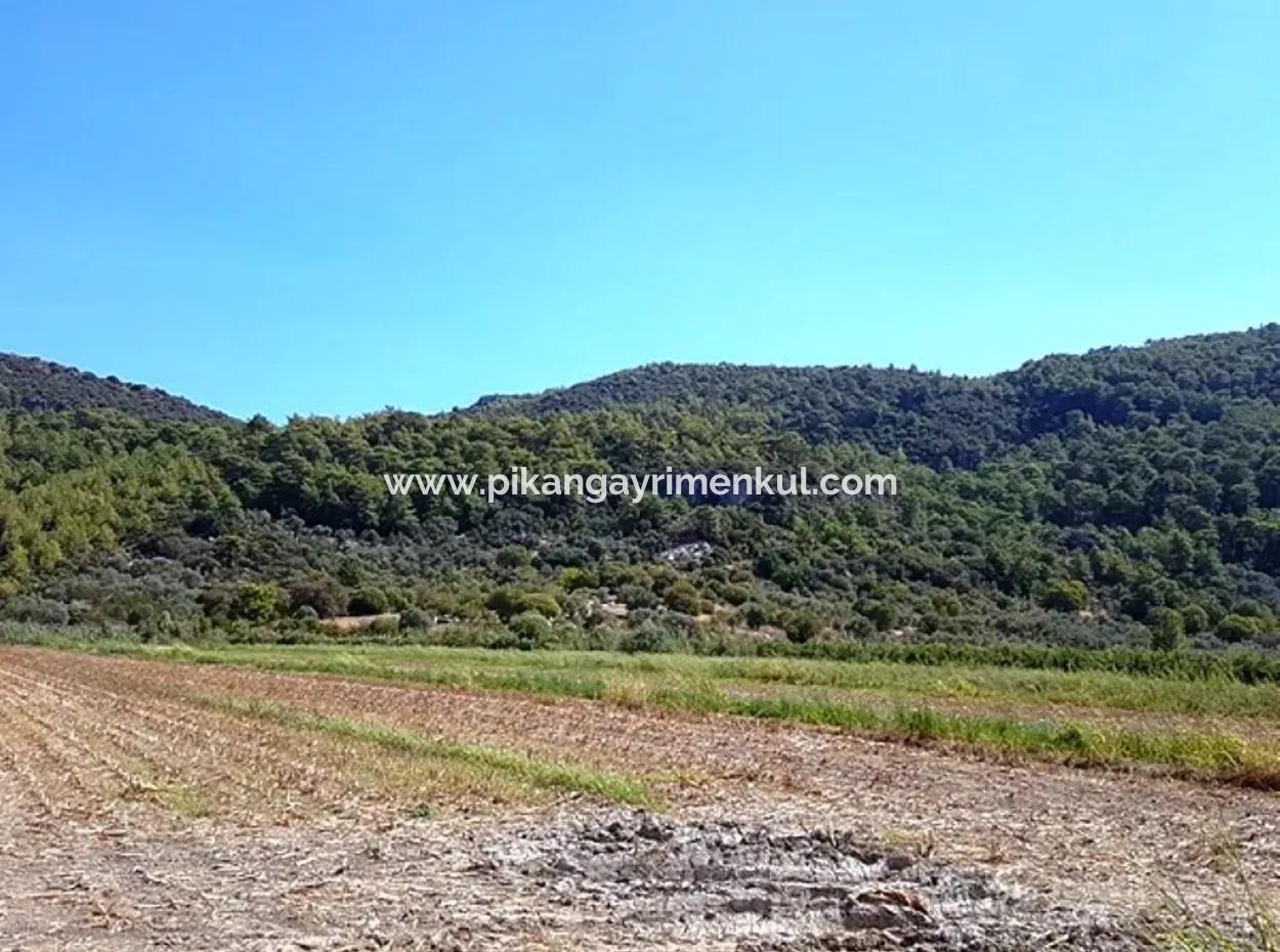 Fruchtbares Schnäppchenland Zum Verkauf In Muğla Ortaca Güzelyurt