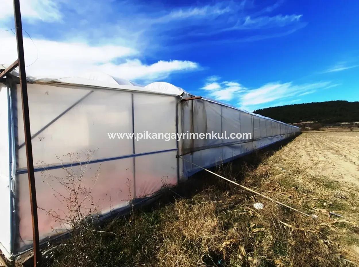 Denizli 'Ameli Yumrutaş Freistehend 4 000 M2 Gewächshaus Zu Verkaufen