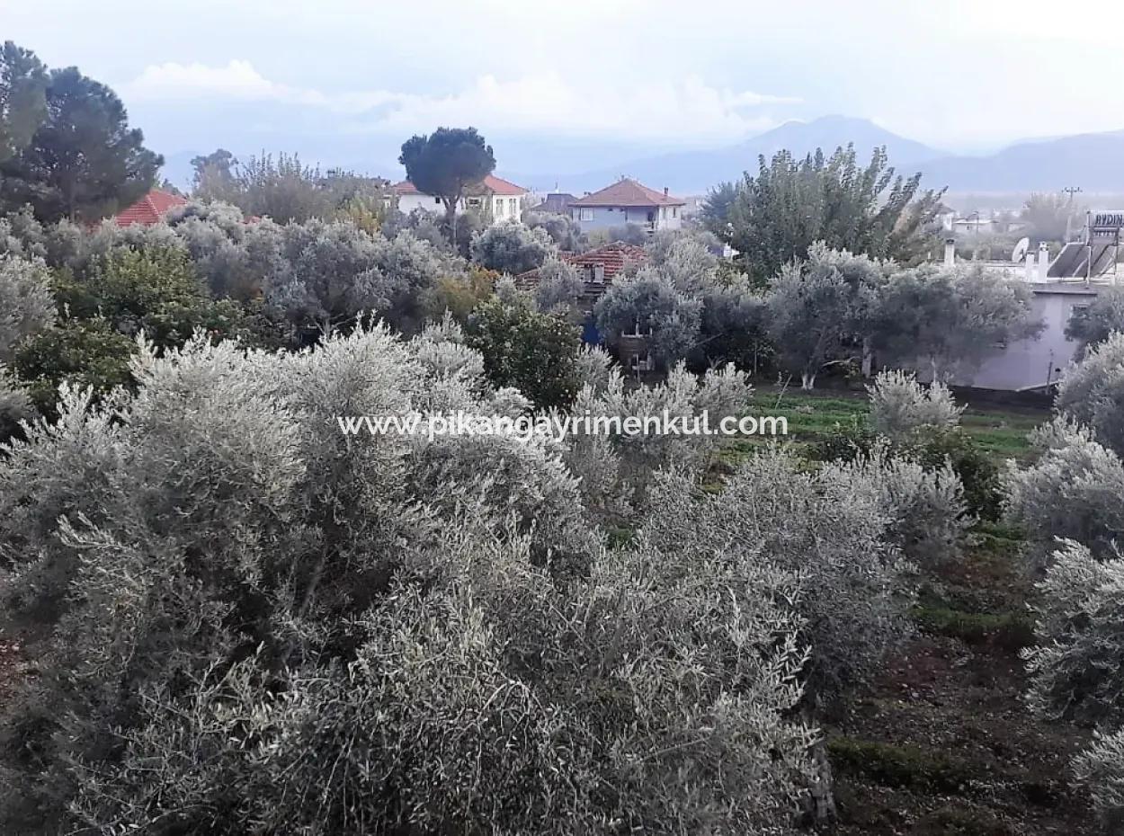 Zoning Grundstücke Mit Seeblick Zum Verkauf In Köycegiz Toparlar