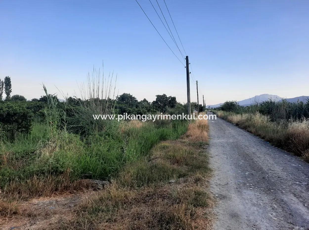 3500 M2 Orangen- Und Mandarinengarten Zum Verkauf In Köyceğiz Toparlar