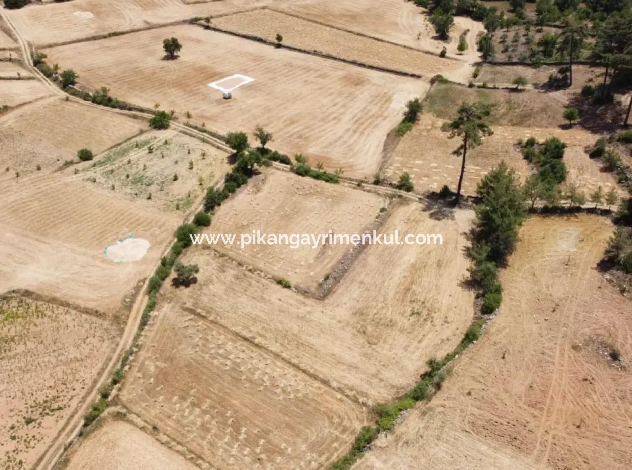 Mugla Menteşe Denizova 1869 M2 Schnäppchenfeld Zum Verkaufen