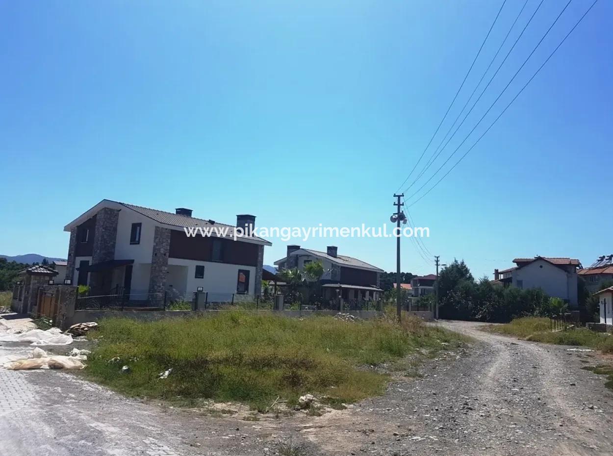 Mandarin Garten Zum Verkauf