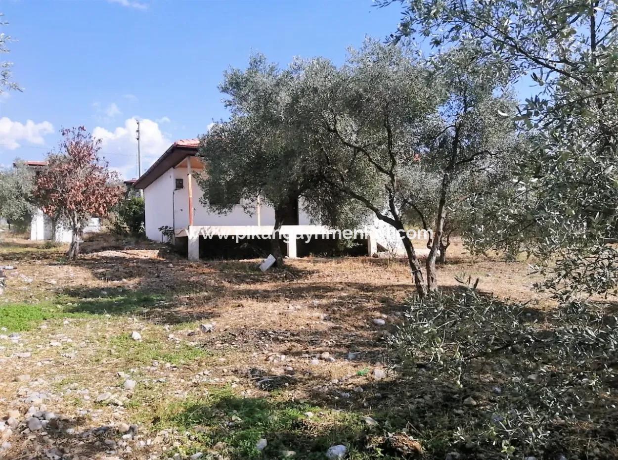 2 Einfamilienhäuser Zum Verkauf In 1992 M2 Grundstück Mit Blick Auf Den See In Köyceğiz Zeytinalanı