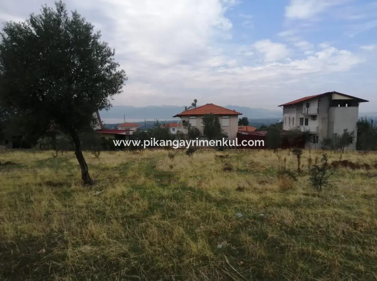 2788 M2 Feld Mit Seeblick Zu Verkaufen In Mugla Köyceğiz Zeytinalanı