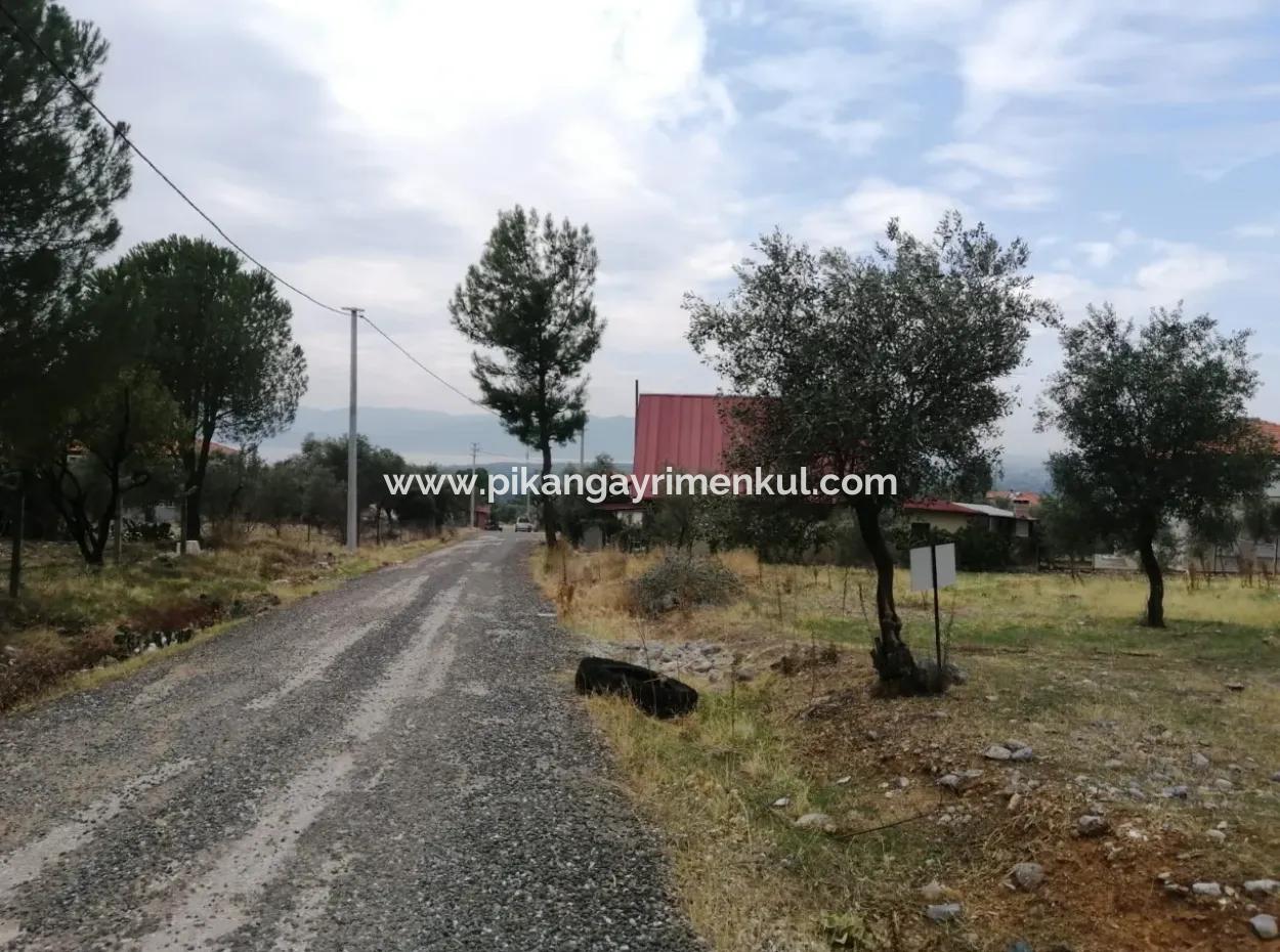 2788 M2 Feld Mit Seeblick Zu Verkaufen In Mugla Köyceğiz Zeytinalanı