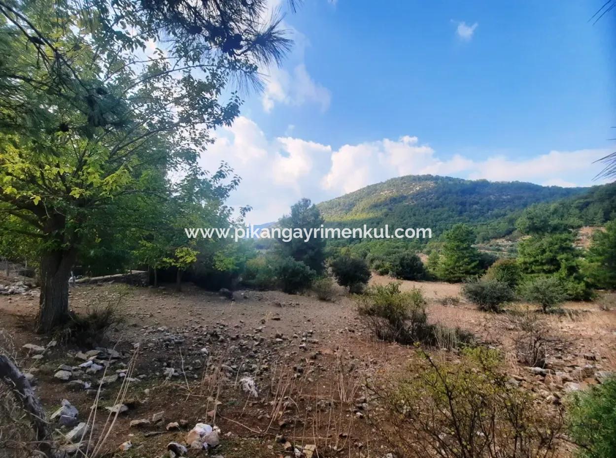 Mugla Dalyan Gökbel 320 M2 Schnäppchengrundstück Zum Verkauf