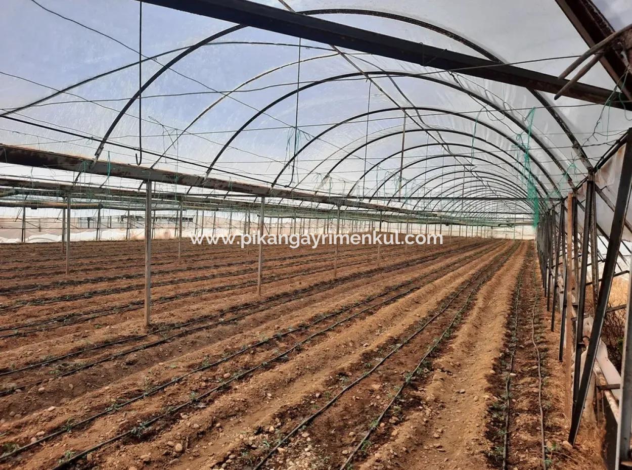 3100 M2 Grundstücke Und Gewächshaus In Muğla Ortaca Ekşiliyurt Zum Verkauf