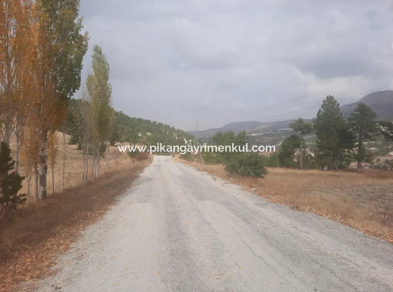 6 230 M2 Fruchtbares Land Zur Miete In Çameli Cumaalanı