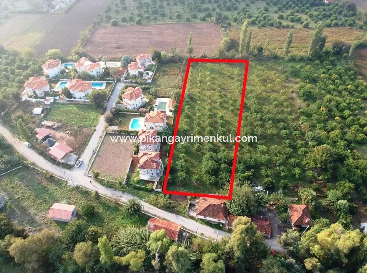 Muğla Ortaca Marmarlıda 4.000 M2 Zitronengarten 5 Jahre Vermietung