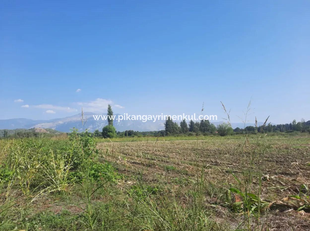 2 650 M2 Fruchtbares Land Zum Verkauf In Köyceğiz Poplar