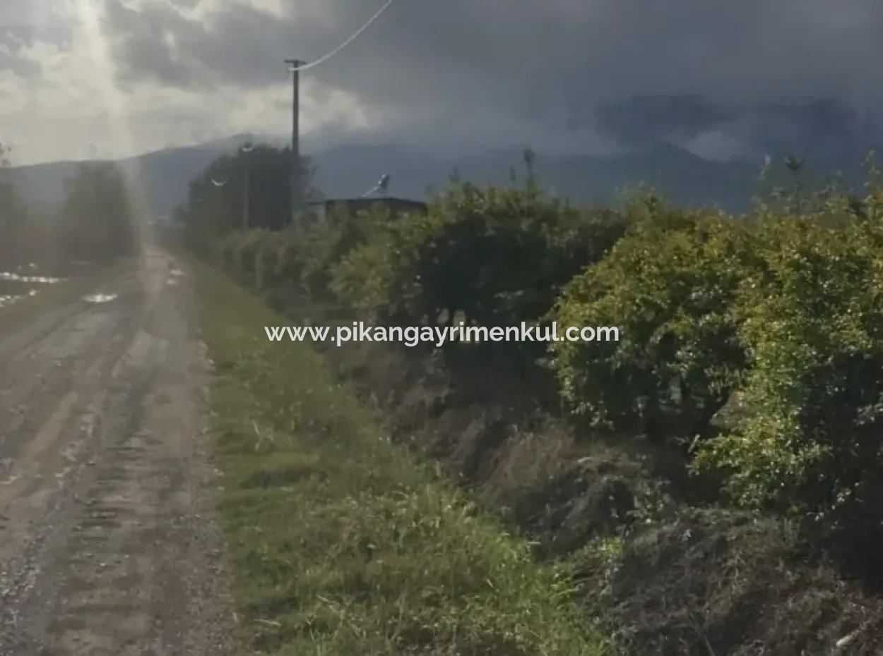 7833 M2 Freistehendes Feld Zum Verkauf In Muğla Ortaca Eskiköy
