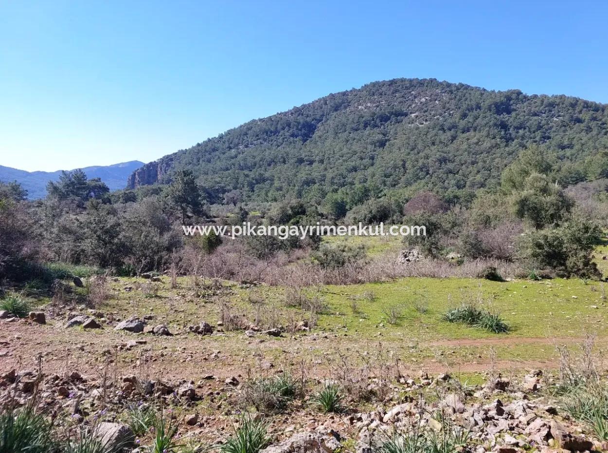 2 400 M2 Feld Zum Verkauf In Muğla Ortaca Gökbelde Natur