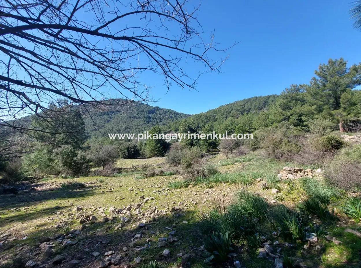 2 400 M2 Feld Zum Verkauf In Muğla Ortaca Gökbelde Natur