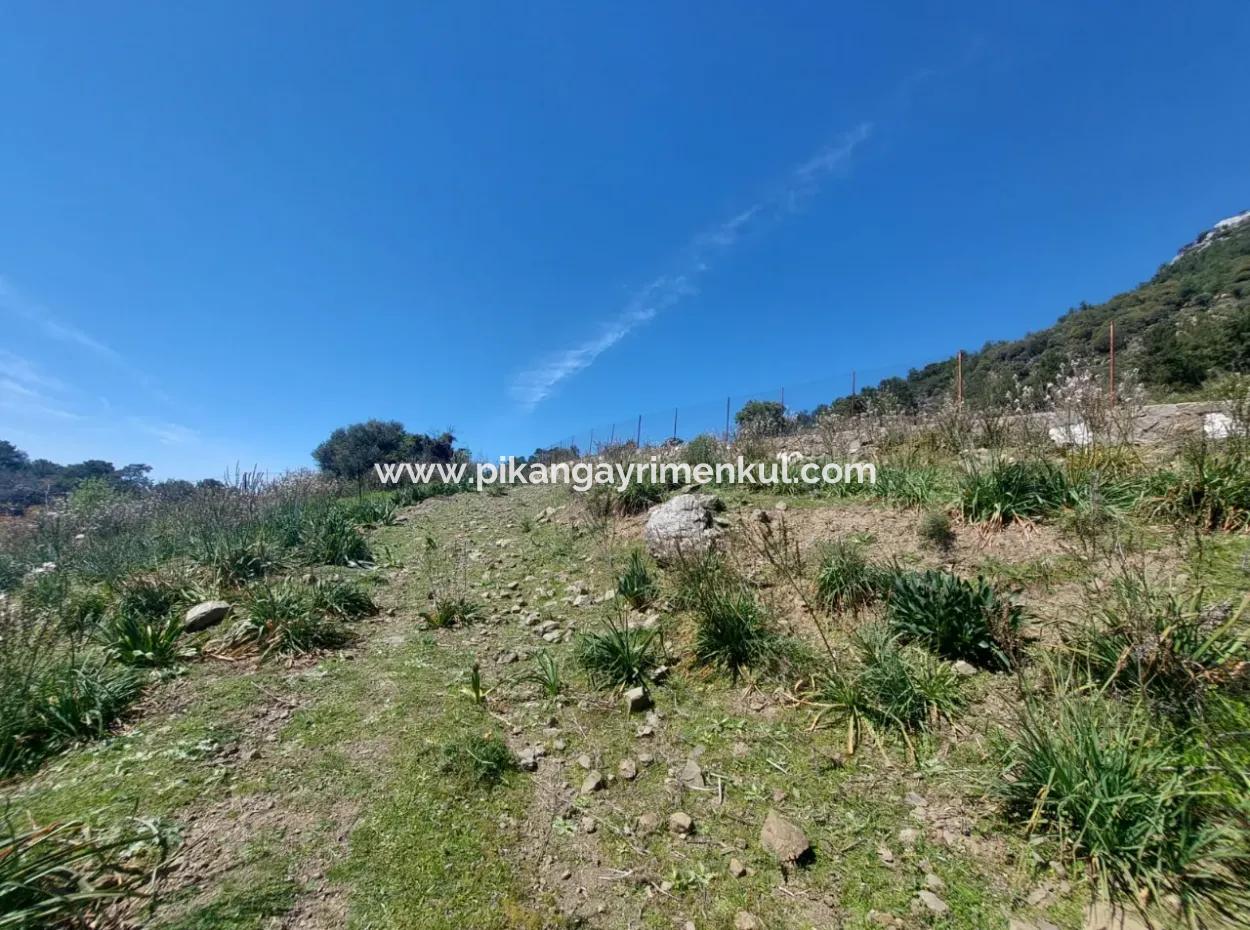 Ortaca Gökbelde Freistehendes 12 132M2 Schnäppchengrundstück In Der Natur Zum Verkauf