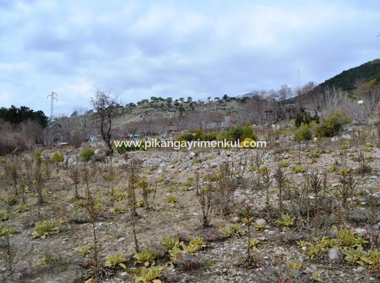 Fethiye, Nifte, 2 000 M2, Freistehend Zu Verkaufen, Schnäppchengrundstück