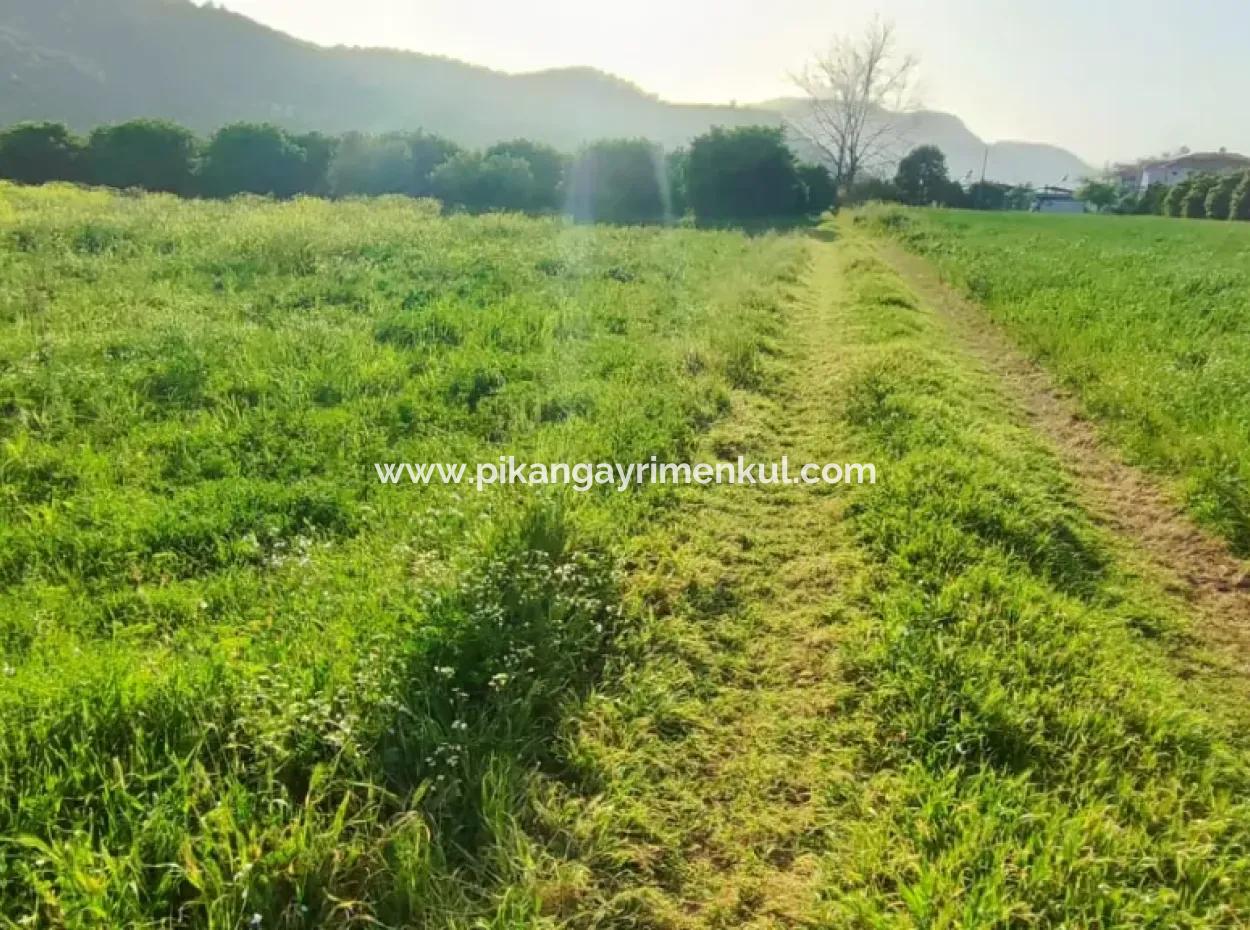 Rızai Taksimli 798 M2 Feld Zum Verkauf In Muğla Ortaca Fevziye Nachbarschaft