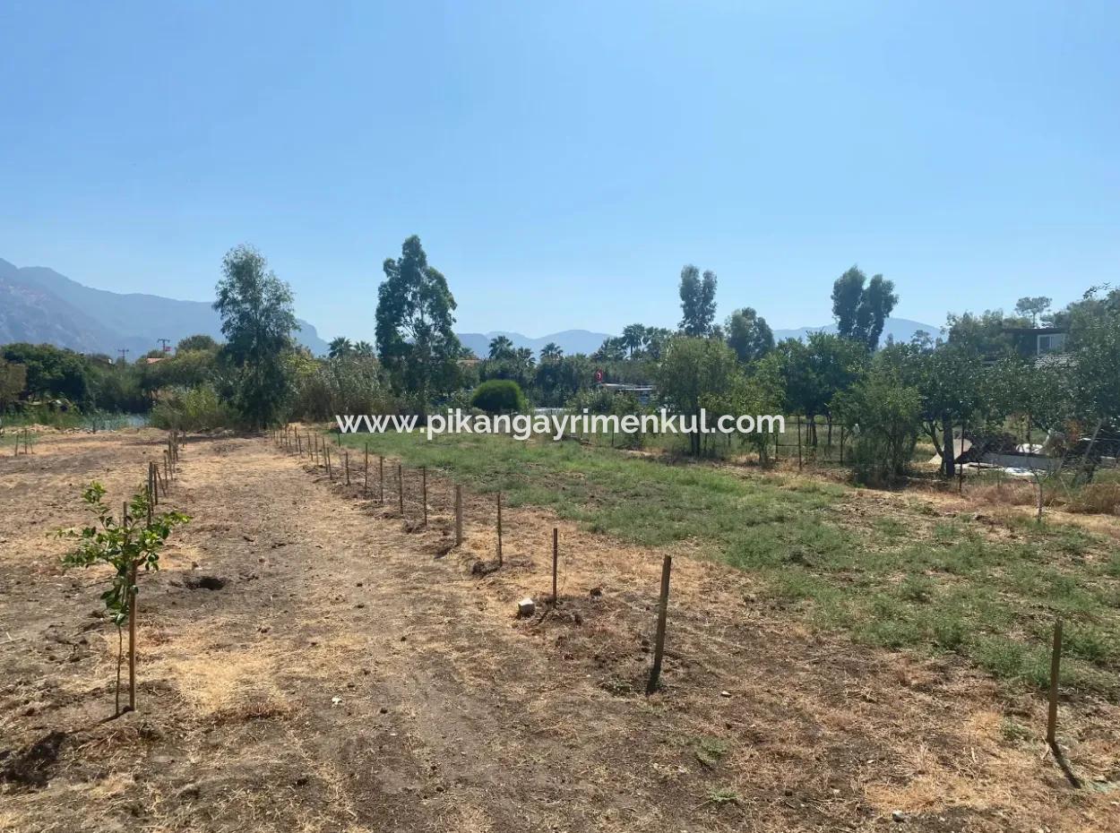 Köyceğiz Çandır Dalyan Canal Front 3210 M2 Grundstück Zum Verkauf