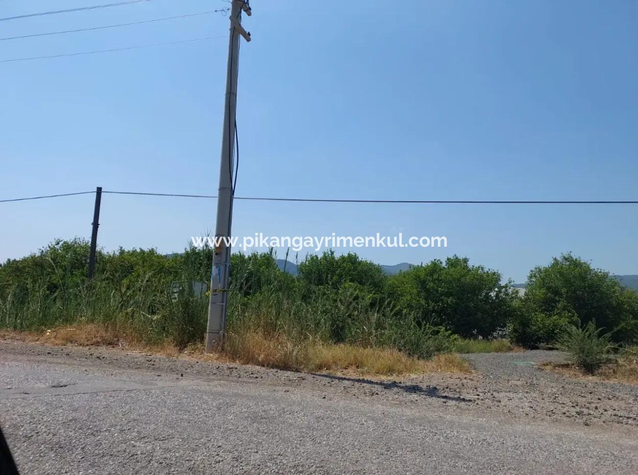 Muğla Ortaca Ekşiliyurtta Roadfront 7.000 M2 Zitronengarten Zu Verkaufen