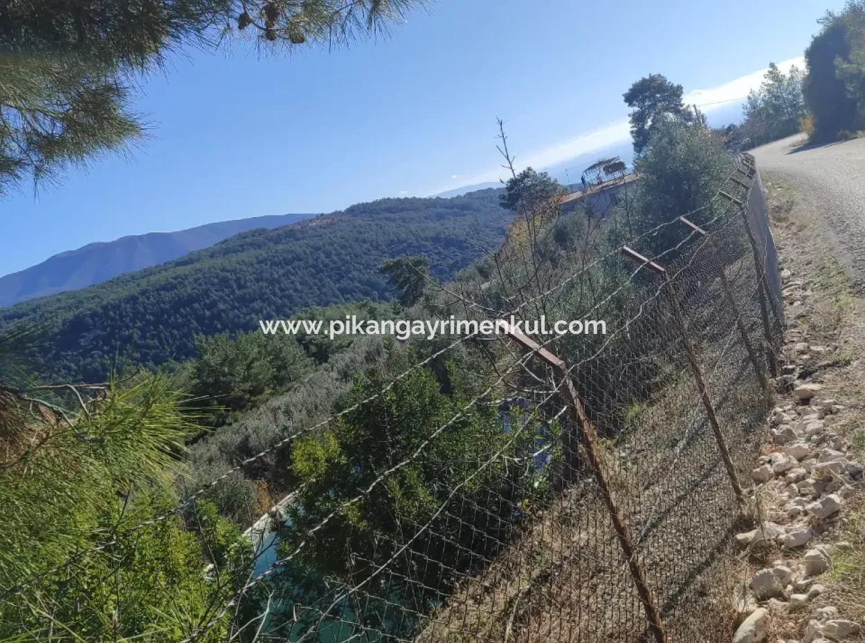 120 M2, 3 1 Einstöckiges Haus Zum Verkauf Auf 8500 M2 Land Mit Meer- Und Naturblick In Antalya Finike Alacadağ