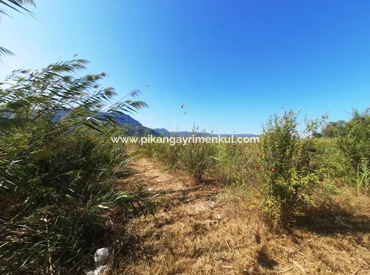 26.200 M2 Dorfweide Null Schnäppchenland Zum Verkauf In Dalyan