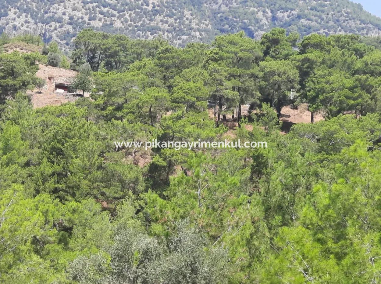 Dalyan Gökbelde See- Und Meerblick Freistehende Eigentumsurkunde Zum Verkauf 82 M2 Land Zum Verkauf