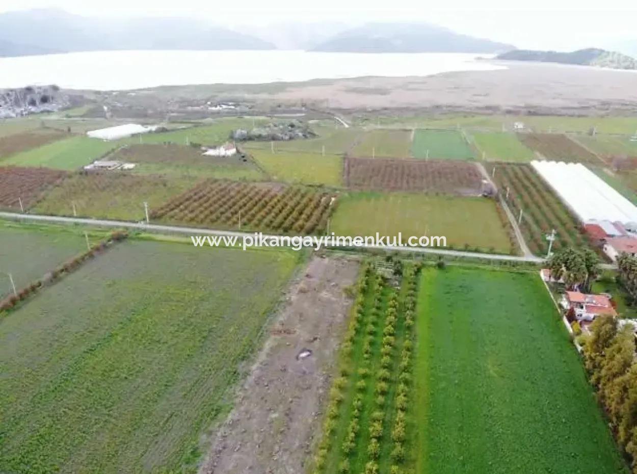 4100M2 Feld Zum Verkauf In Der Nähe Des Sees In Dalyanda, Muğla