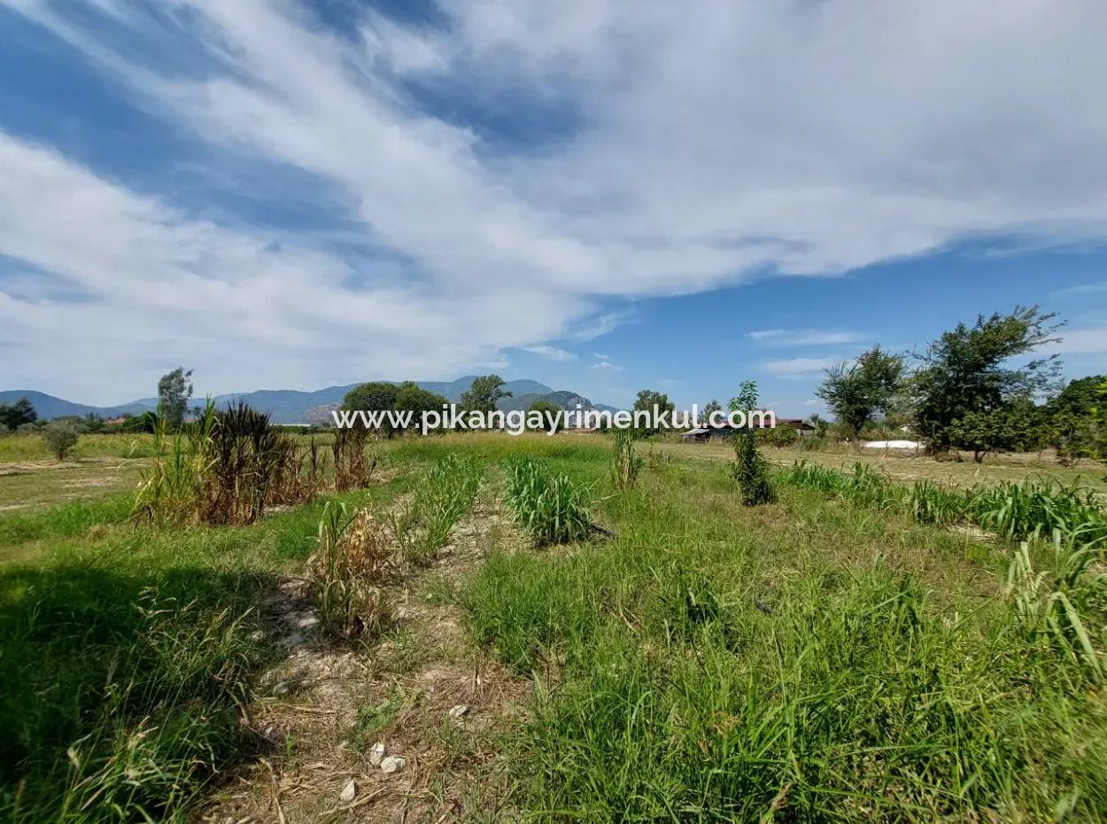 Fruchtbares 1.680 M2 Land Am Berghang Zum Verkauf In Dalyan, Muğla