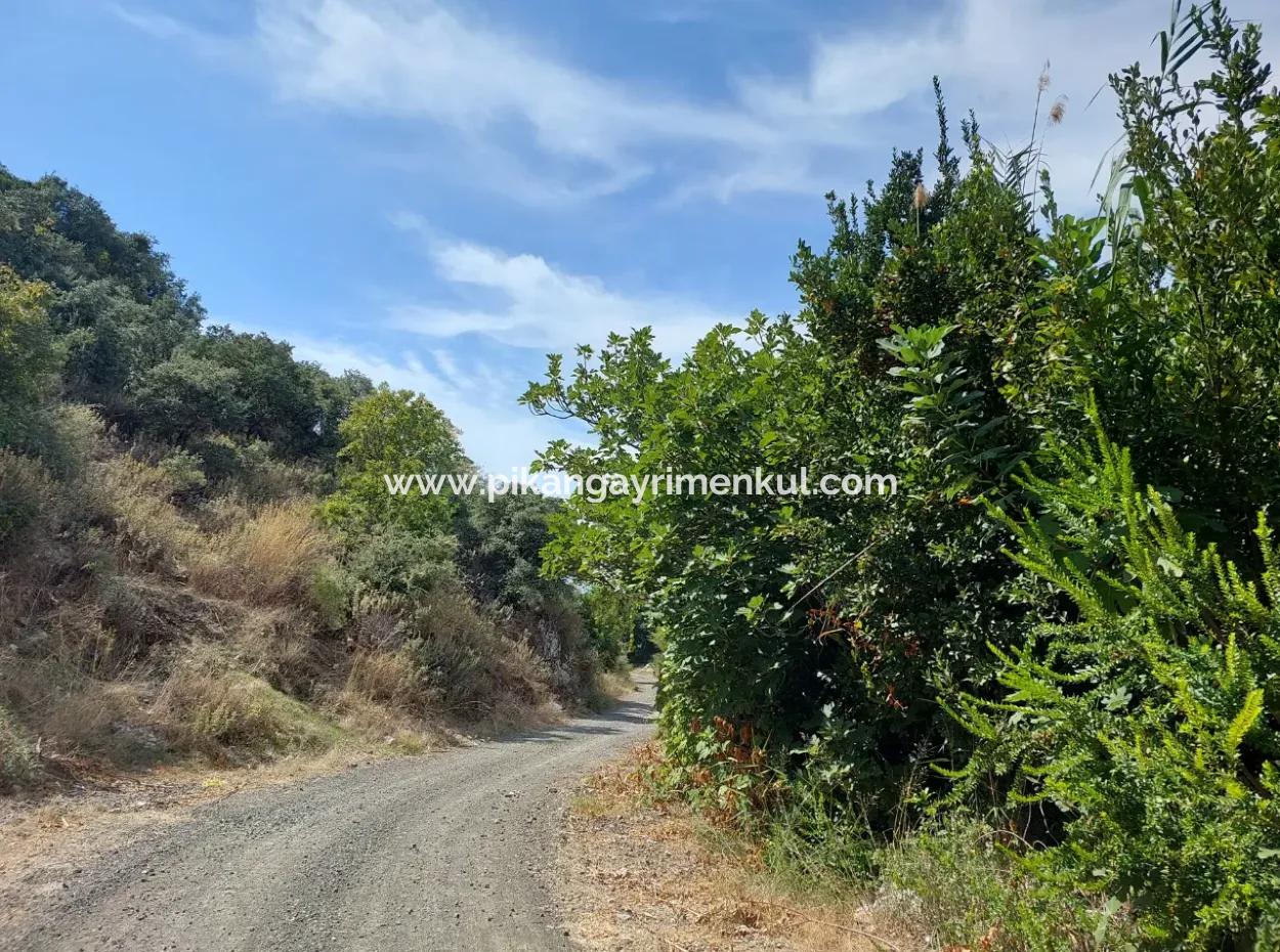 Fruchtbares 1.680 M2 Land Am Berghang Zum Verkauf In Dalyan, Muğla