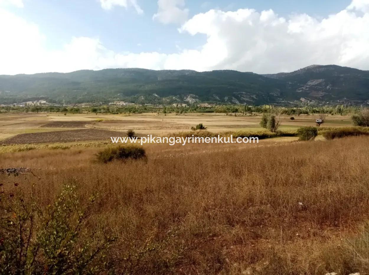 2603 M2 Feld Zum Verkauf In Denizli Çameli Belevi Nachbarschaft
