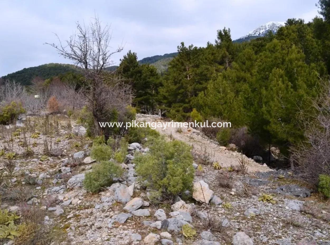 Zum Verkauf Schnäppchen Land In Fethiye Ta Sty