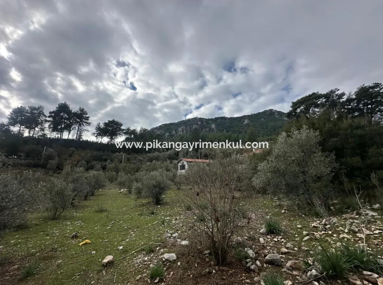 Zu Verkaufen In Fethiye Gökçeovacıkta 1709 M2