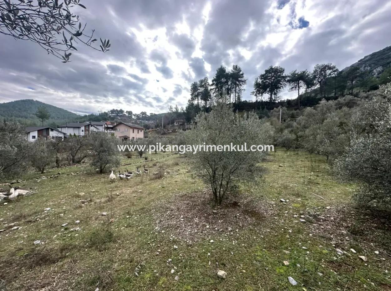 Zu Verkaufen In Fethiye Gökçeovacıkta 1709 M2