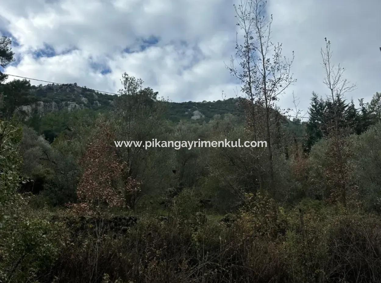 Zu Verkaufen In Fethiye Gökçeovacıkta 1709 M2