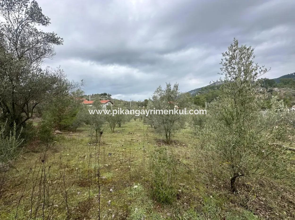 Zu Verkaufen In Fethiye Gökçeovacıkta 1709 M2