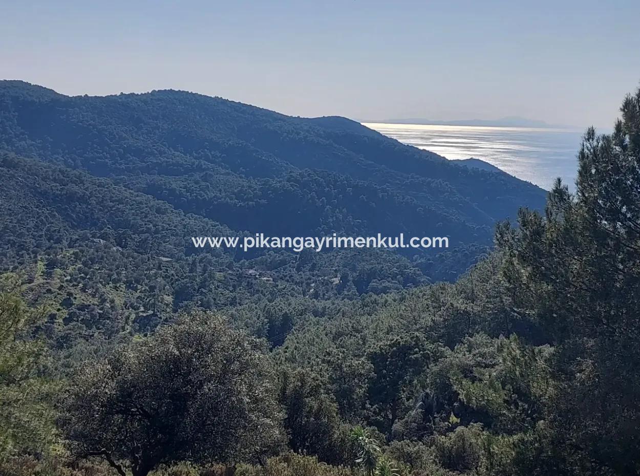 28.350 M2 Grundstück Zum Verkauf In Ortaca Gökbelde Mit Freistehender Eigentumsurkunde Mit Meerblick