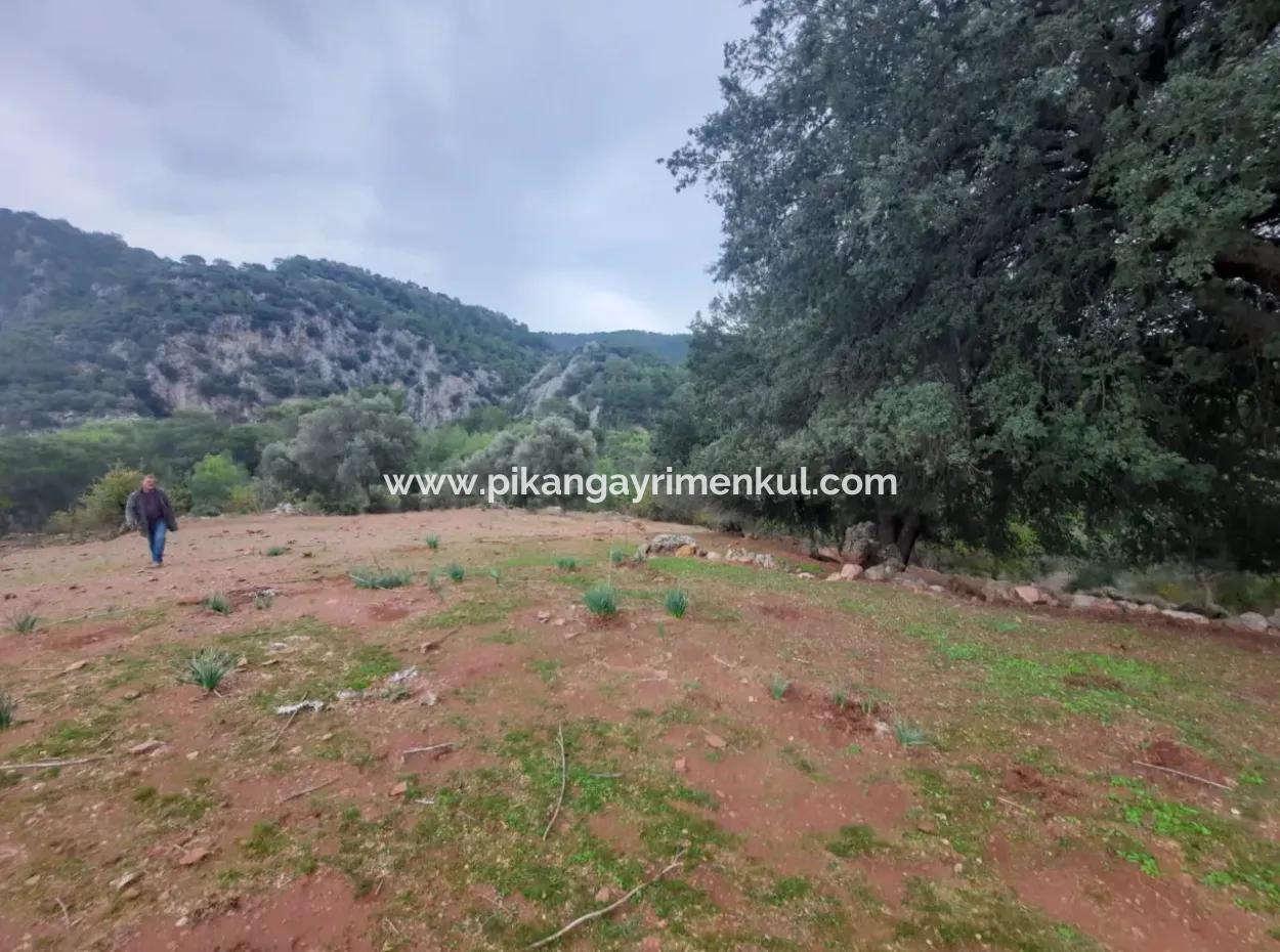 24.000 M2 Freistehendes Grundstück Zum Verkauf In Muğla Dalyan Gökbelde Natur