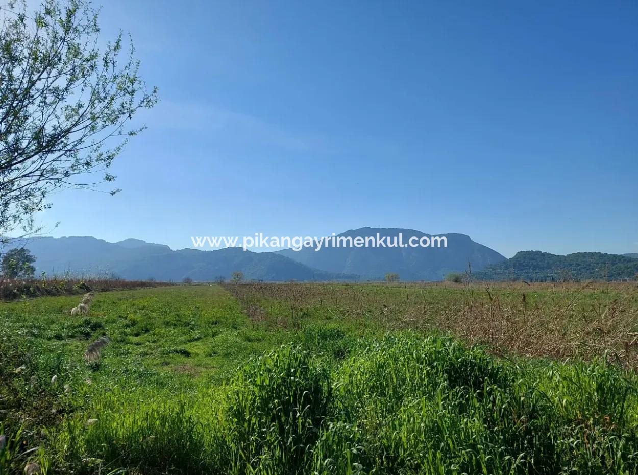 Fruchtbares 6.350 M2 Land Zum Verkauf In Muğla Ortaca Güzelyurt