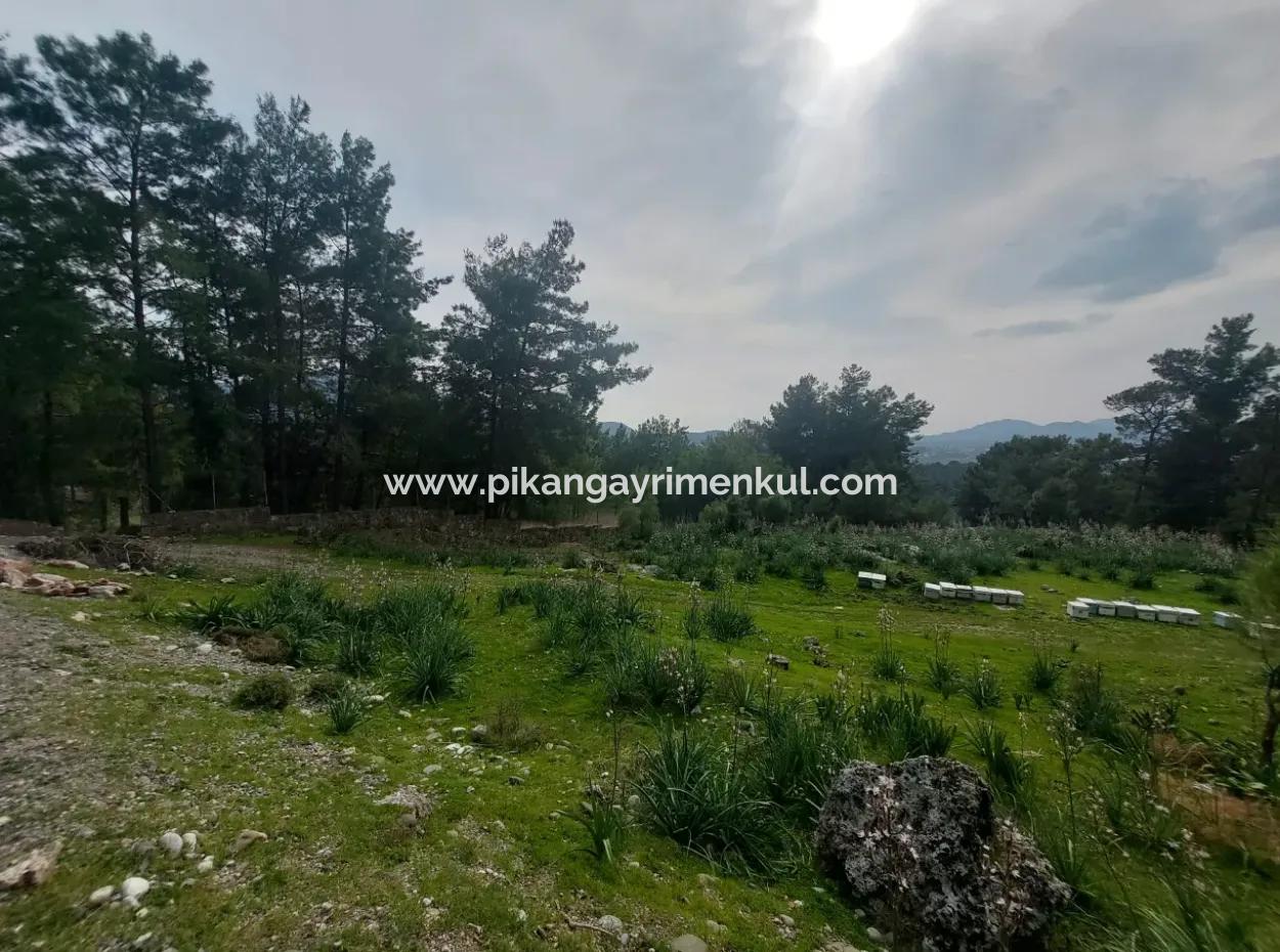 3.500 M2 Freistehendes Grundstück Mit Meerblick Zum Verkauf In Dalaman Gürköy