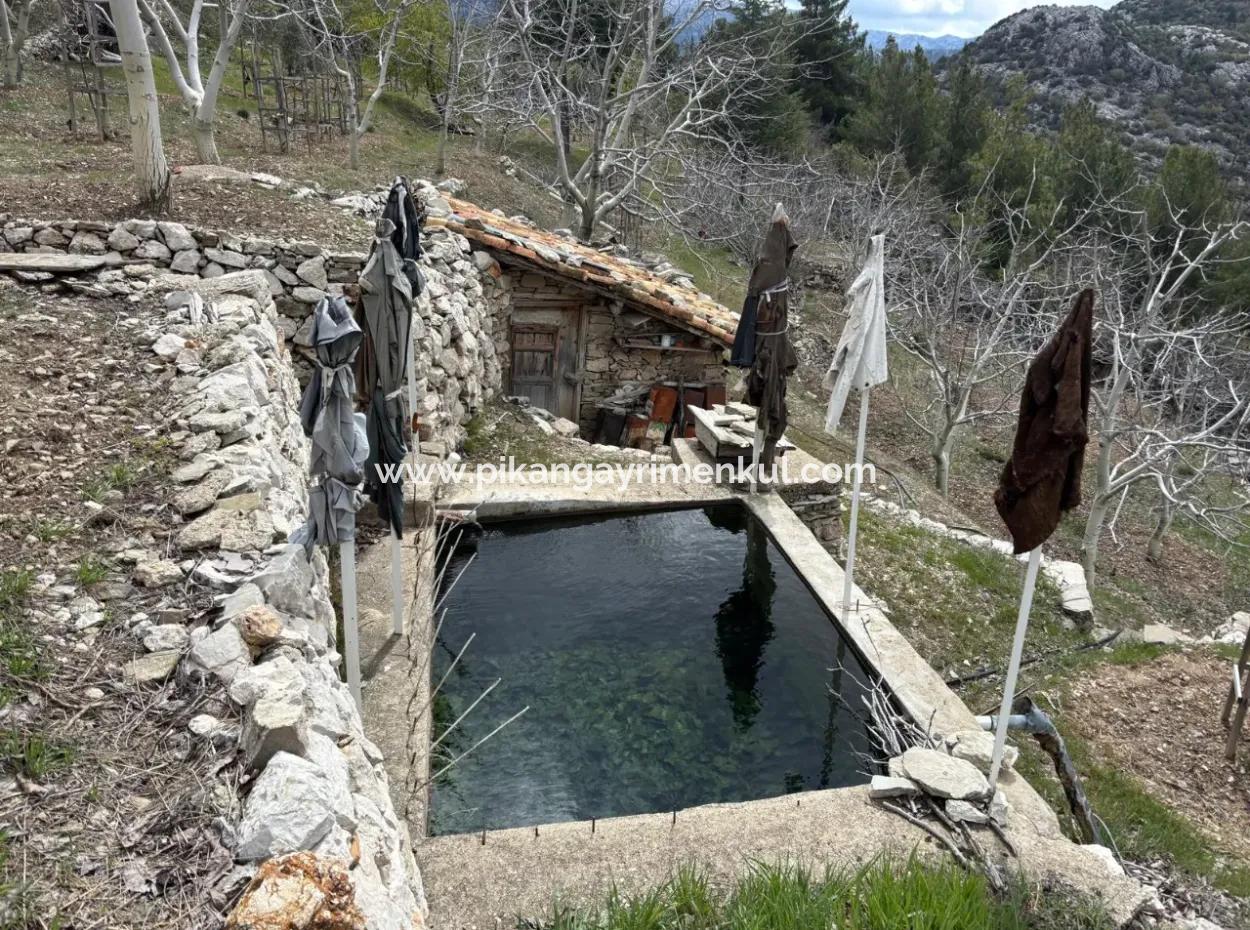 Antalya Akseki Çimiköy 9 400 M2 Freistehender Schnäppchen-Walnussgarten Zum Verkauf Oder Tausch