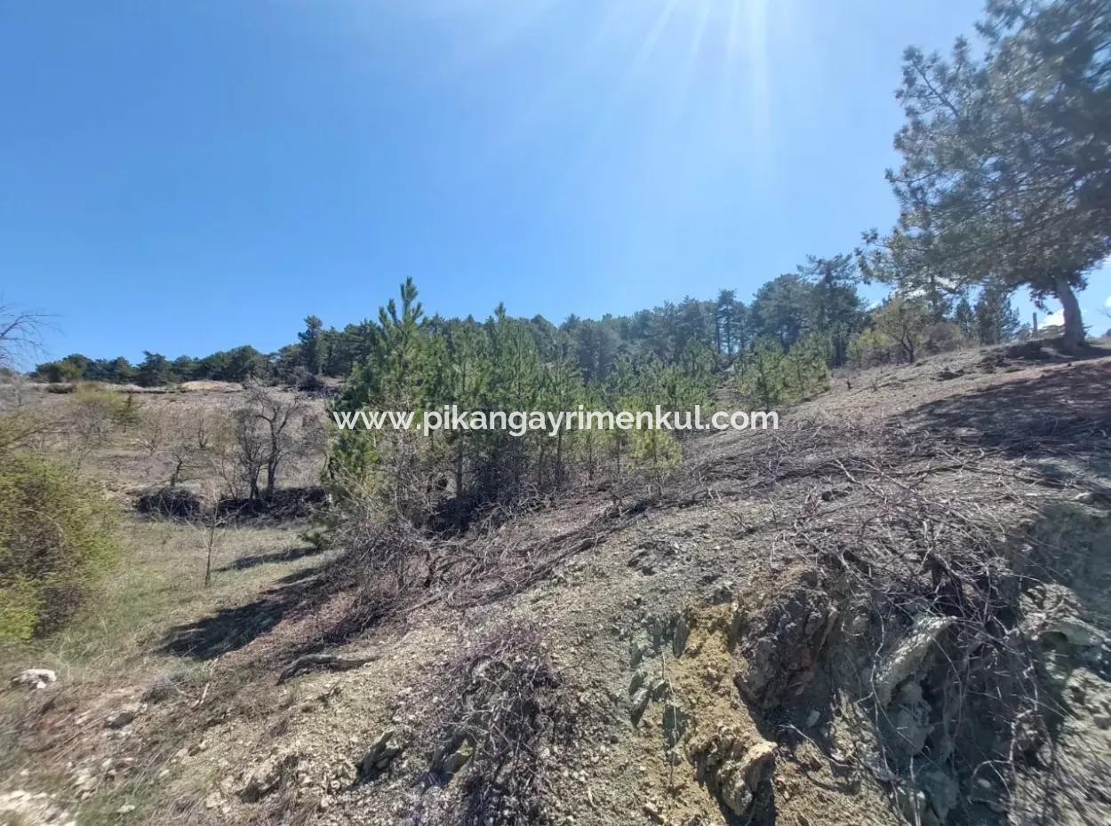 Schnäppchengrundstück Zum Verkauf In Çameli Gökçeyaka 1 844 M2 Freistehendes Grundstück Zum Verkauf.