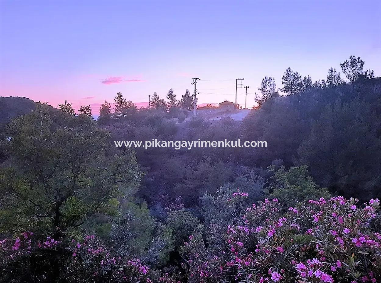 238 M2 Hobbygarten Mit Freistehender Eigentumsurkunde Zum Verkauf In Ortaca Gökbel, Muğla