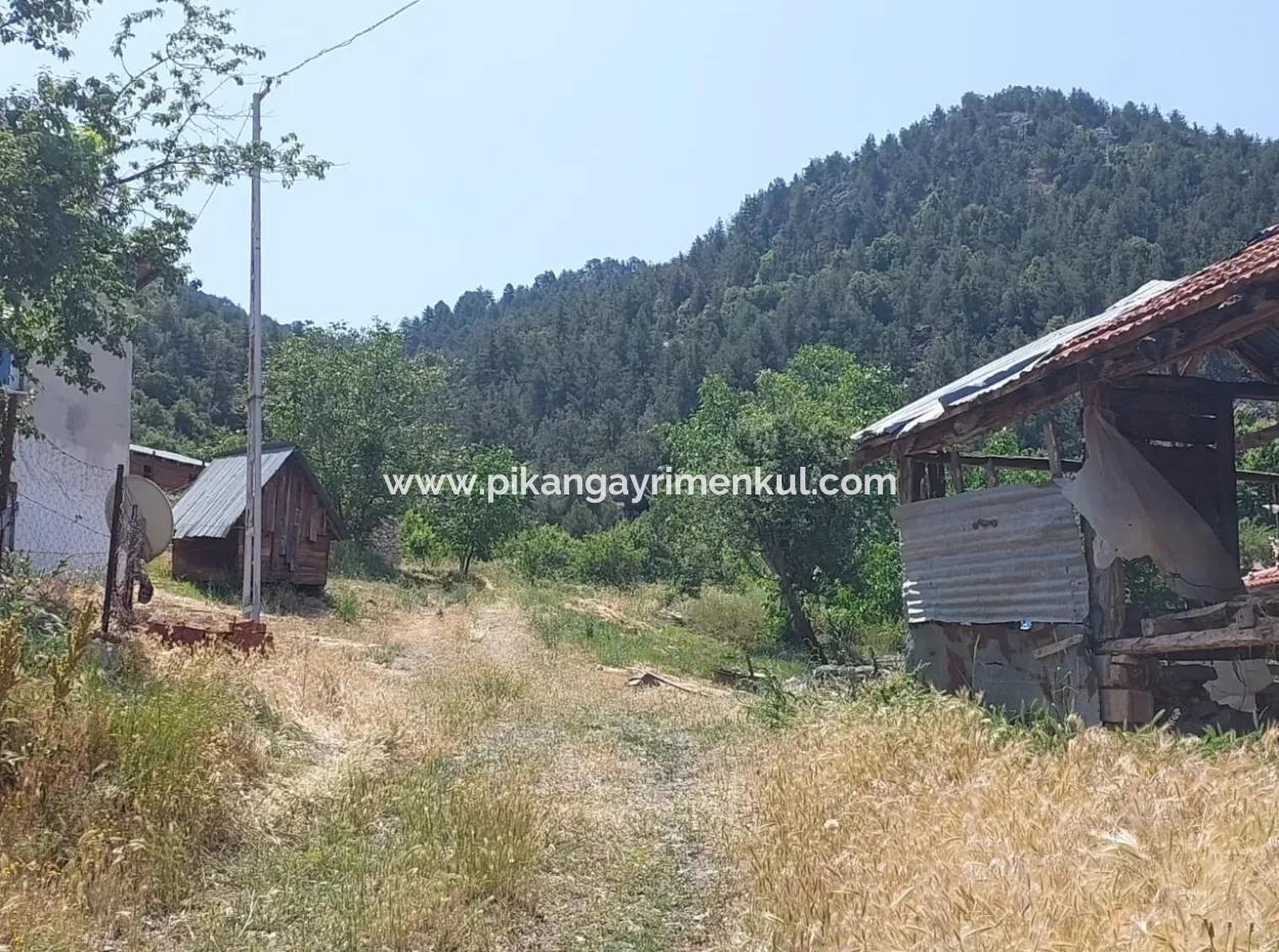 2500 M2 Freistehende 2 Häuser Und Scheunen, Lager Zum Verkauf In Çameli Kızılyaka