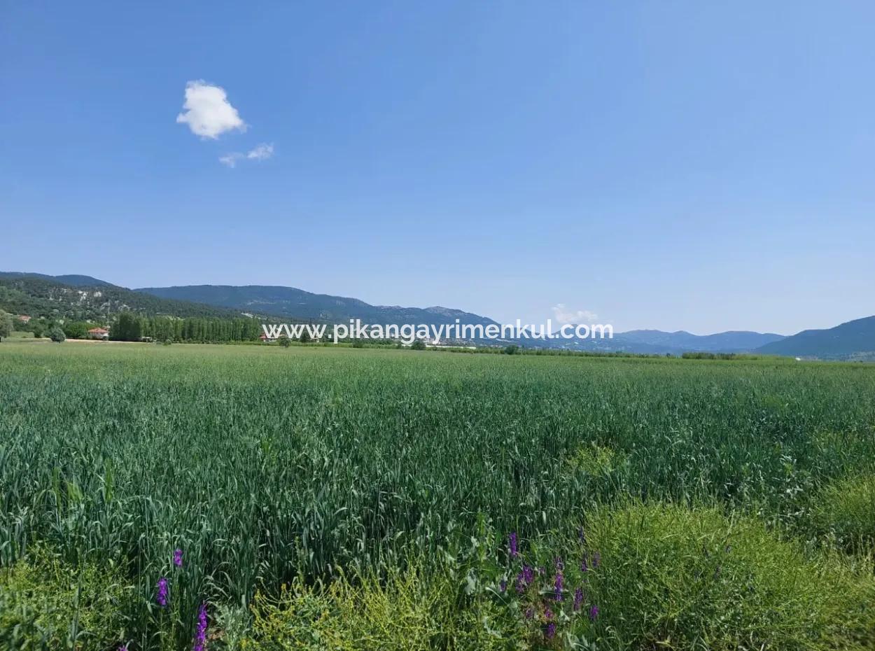 Zu Verkaufen In Denizli Çameli Kızılyaka 1500 M2 Freistehende Eigentumsurkunde Schnäppchenland