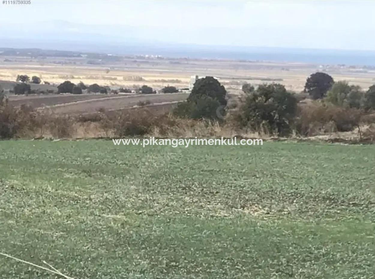 Canakkale Biga Koruobada Schnäppchen Mit Meerblick 9 715 M2 Freistehendes Freistehendes Fruchtbares Grundstück Zum Verkauf
