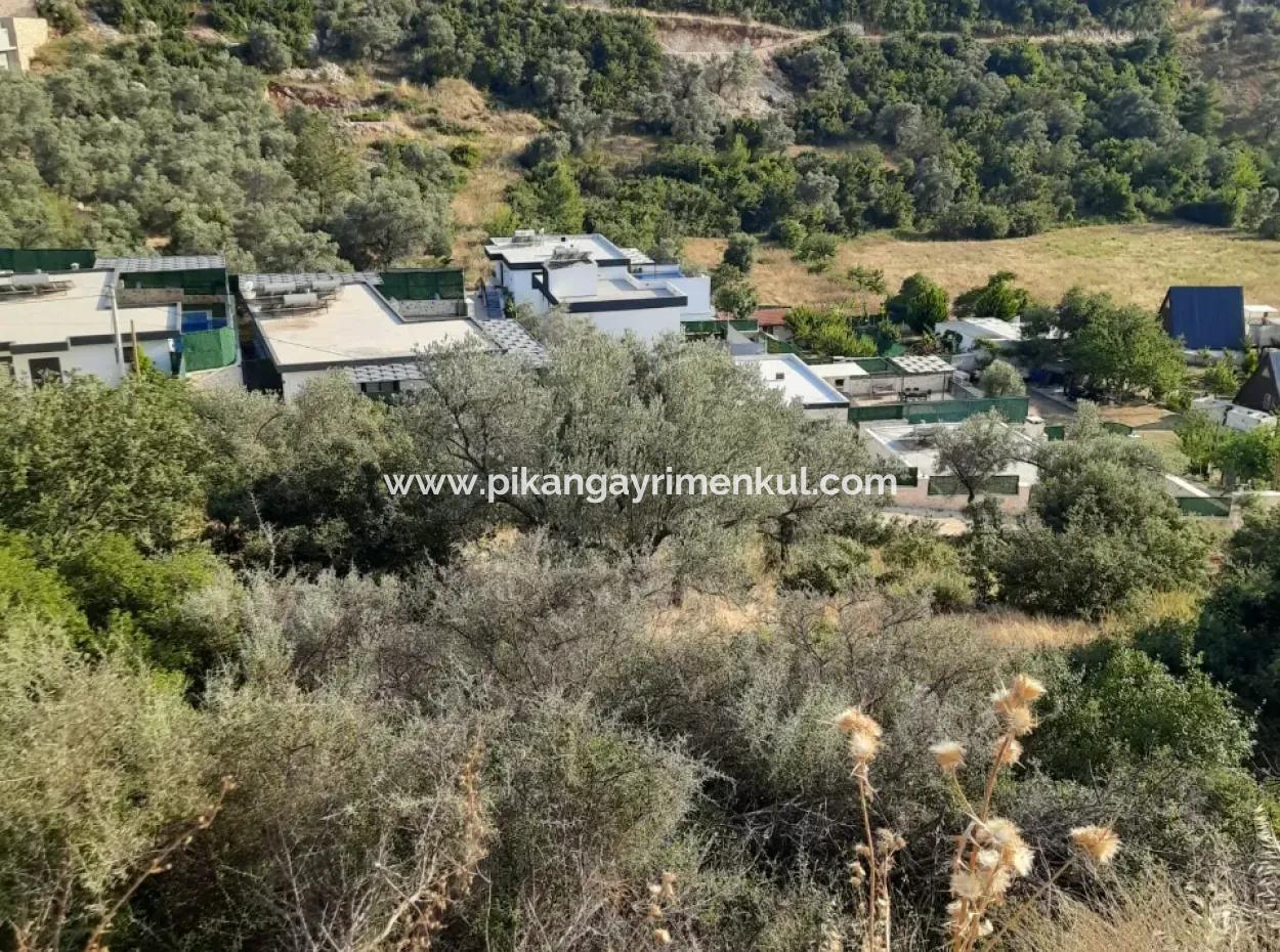 12 300 M2 Land Geeignet Für Investitionen Zum Verkauf In Antalya Kaş Kalkan Islam