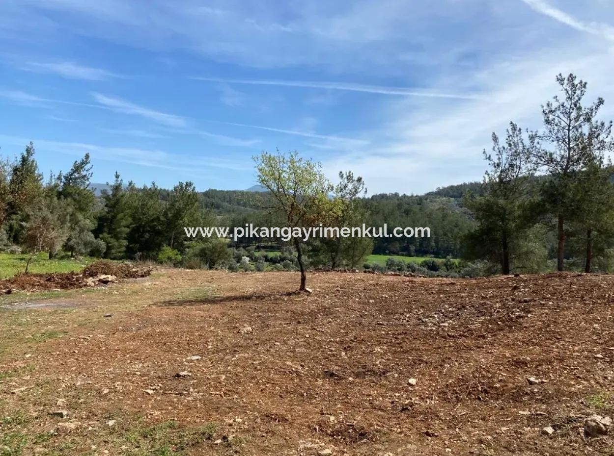 2500 M2 Flaches Freistehendes Grundstück Zum Notverkauf In Milas Karacahisar, Offen Zum Angebot