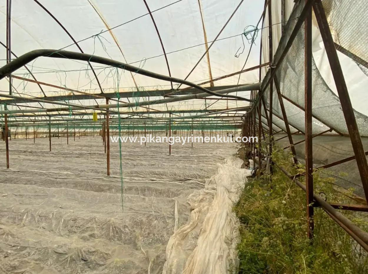 Einfamilienhaus Und Gewächshaus Zum Verkauf Auf Einem 5200 M2 Großen Feld In Ortaca Eskiköy