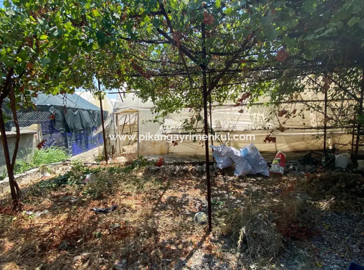 Einfamilienhaus Und Gewächshaus Zum Verkauf Auf Einem 5200 M2 Großen Feld In Ortaca Eskiköy