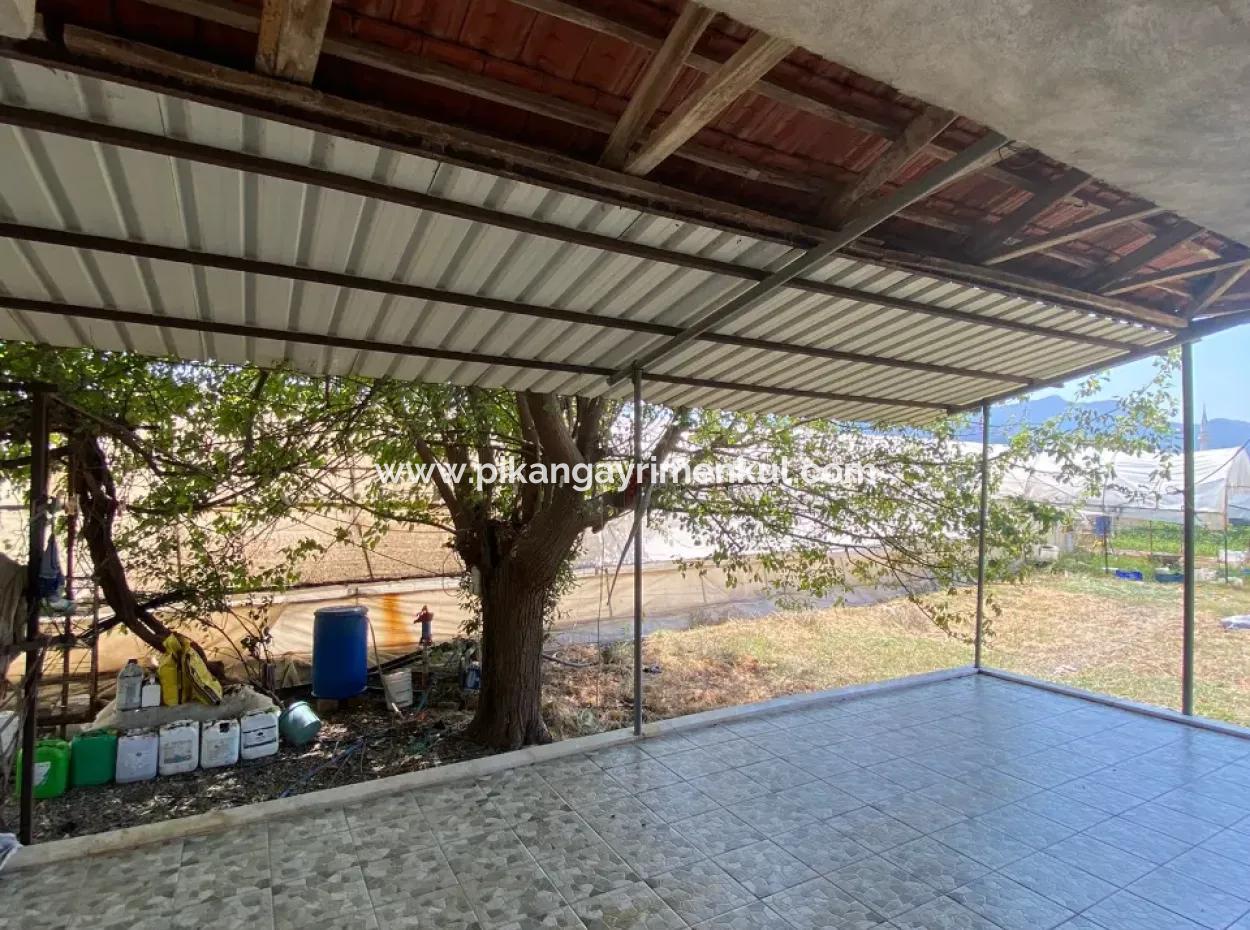 Einfamilienhaus Und Gewächshaus Zum Verkauf Auf Einem 5200 M2 Großen Feld In Ortaca Eskiköy