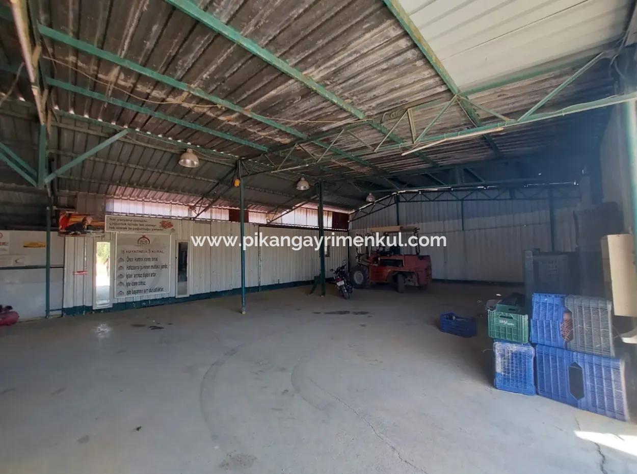 250 M² Voll Genutztes Lager Zu Vermieten In Dalyan, Muğla